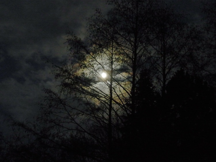 Por 7854. (Disponível em: https://pixabay.com/en/moon-at-night-moonlight-full-moon-54671/)